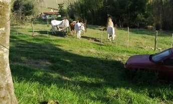 Imagem 4: SITIO A VENDA EM PORTO FELIZ