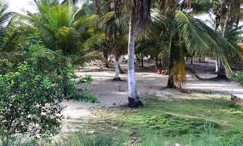 Imagem 3: VENDO CASA NA PRAINHA DO CANTO VERDE(BEBERIBE