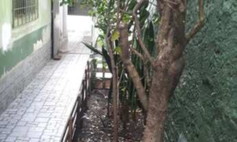 Imagem 4: Casa Padrão para Aluguel em Vila Curuçá São Paulo-SP