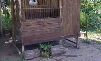 Imagem 2: Excelente chacrinha 9km do centro gravatai(morungava