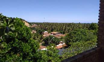 Imagem: É Tropical! É Ipioca!