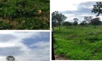 Imagem 4: Chácara a venda , a 8km de cocalzinho de Goiás