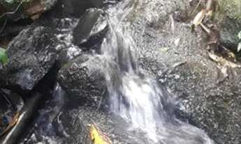 Imagem 5: SÍTIO EM ALFREDO WAGNER