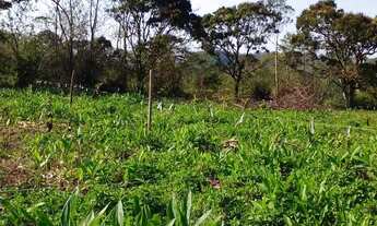 Imagem 7: Terrenos 10x40 Terreno / lote com venda por R$35.000