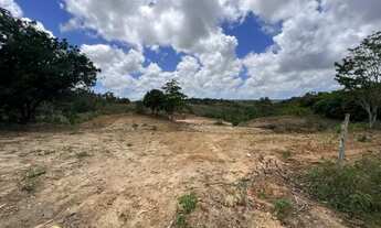 Imagem 2: Área 13.000 m² - Povoado Terra Nova - São Cristóvão