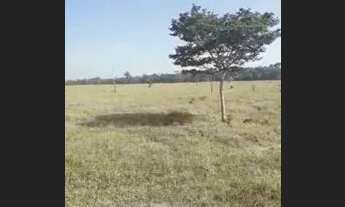 Imagem 4: Fazenda - Bairro Gleba Iriri