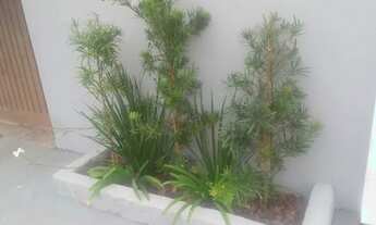 Imagem 3: Vende terreno com duas