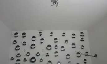 Imagem 5: Alugo Apartamento