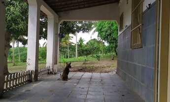 Imagem 3: Chácara em Salgado