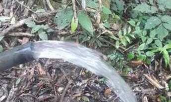 Imagem 6: SÍTIO EM ALFREDO WAGNER