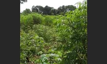 Imagem: Vendo ou troco um terreno no assentamento