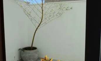 Imagem 3: Sala - Cambuí - Campinas