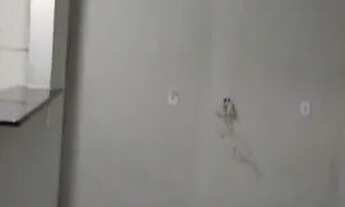 Imagem 6: Kit Net QNN 08 Casa com 1 dormitório