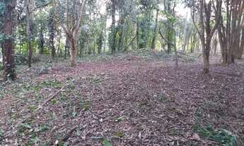 Imagem 3: Venda Terreno / lote com venda por R$330.000