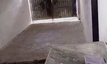 Imagem 5: Barraco a venda no sol nascente ( trecho 3