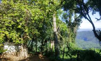 Imagem 7: Sitio - Bairro Santa Terezinha