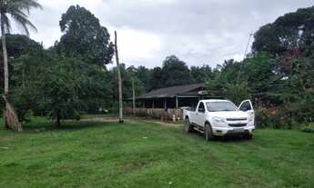 Imagem 2: Sítio 333 x 1.000 na BR 174 Ramal do Pau - Rosa 600.001,00