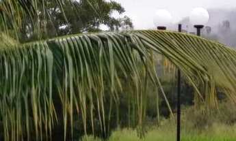 Imagem 5: Vende-se chácara no Município de Goianira