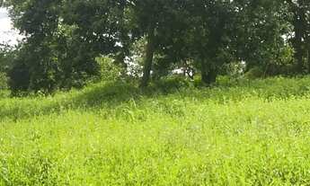 Imagem 4: Vendo Terrenos de 1.000 a 2.500 mt2 no formato de mini chácaras no Engenho das Lajes!!