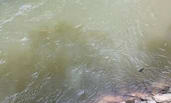 Imagem 6: Vendo Terrenos de 1.000 a 2.500 mt2 no formato de mini chácaras no Engenho das Lajes!!