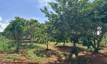 Imagem 7: CHACARA A SUA OPORTUNIDADE