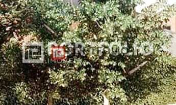 Imagem 7: Terreno Residencial à venda, , - TE0472