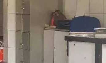 Imagem 6: Terreno à venda, 226 m² - Barra Funda - São Paulo/SP