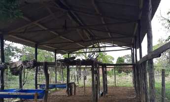 Imagem 4: Vende-se uma excelente fazenda de 226 hectares