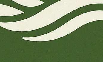 Imagem 2: Seu Espaço na Natureza! Terreno 500m² em Ibiúna