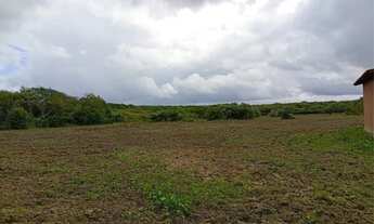 Imagem: Terreno no trairi