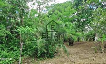 Imagem 3: Chácara à venda em Rosário Oeste: 3 quartos, 2 banheiros, 10 ha. Frente de 60m para o Rio