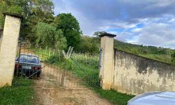 Imagem 5: Sítio - Área Rural de Mogi Guaçu - Mogi Guaçu