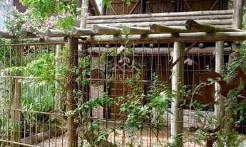 Imagem 4: Casa - Alto Arroio