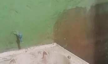 Imagem 6: Alugo casa terrea em san martin com 1 quarto, terraço e area de serviço