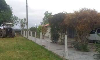 Imagem 3: Fazenda de 290 Hectares em AcorizalMT