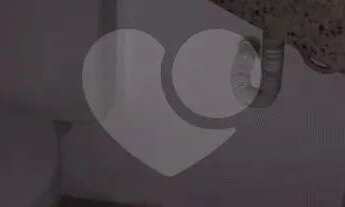 Imagem 6: Prédio inteiro para locação em Santana - SP