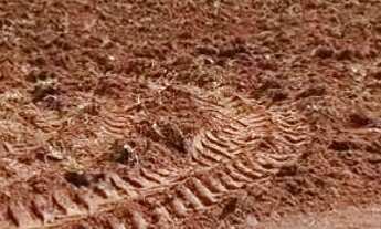 Imagem 2: Fazenda Goiás - Mara Rosa