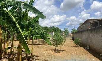 Imagem 6: Sitio 720 m², plano, arvores frutíferas, bem localizado, Jaboticatubas