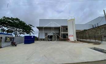 Imagem: Comercial GalpãoBarracão em Marília