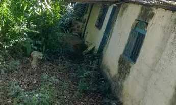 Imagem 4: Vendo Casa com terreno em Maria Helena Duque de caxias