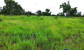 Imagem 2: Fazenda à venda entre Bom Jardim e Aragarças/GO 110,5 Alqueires
