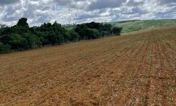 Imagem 4: Fazendinha altitude pra café patrocínio Minas Gerais