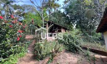 Imagem 2: Chácara Rica em Água e com localização Privilegiada - Sítios Recreio Ipê