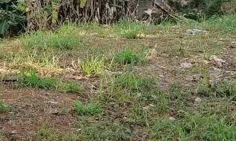 Imagem 3: Terreno à venda Alzira - Santo André - SP