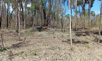 Imagem 7: LOTES DE 600M² À 10 MINUTOS DO BAIRRO TERRA PRETA