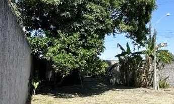 Imagem 5: CASA COM RGI E ESCRITURA