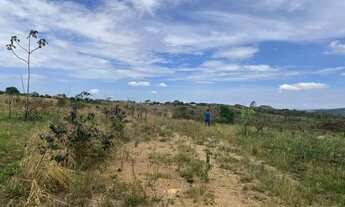 Imagem: Vendo Lotes de 1.000 mts na DF 180