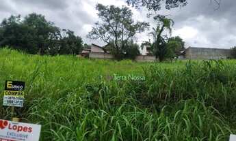 Imagem 5: EXCELENTE TERRENO