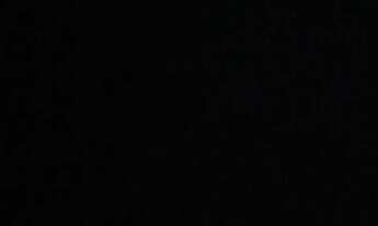 Imagem: Granja - CARNAVAL