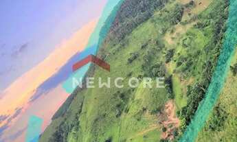 Imagem 4: Sítio em estrada principal do córrego das moças - Feital - Adrianópolis/PR